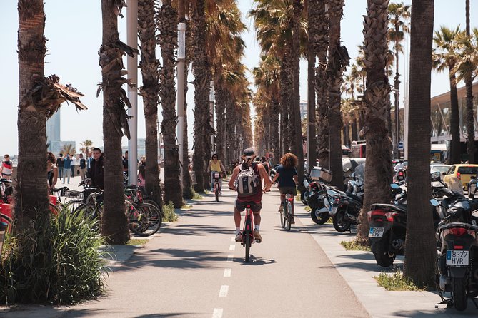 Barcelona 3-hour Bike or E-Bike Tour: Highlights and Hidden Gems - From Port Olímpic to the coastline: Barcelona turns toward the sea