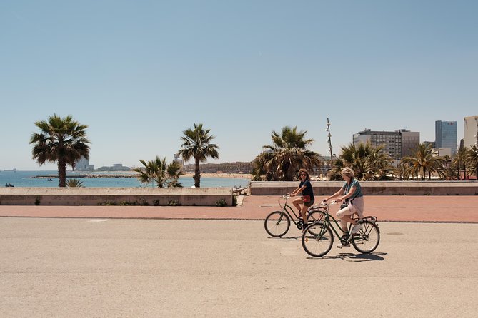 Barcelona 3-hour Bike or E-Bike Tour: Highlights and Hidden Gems - Placa de Sant Jaume to the Gothic Quarter: the old city by bicycle