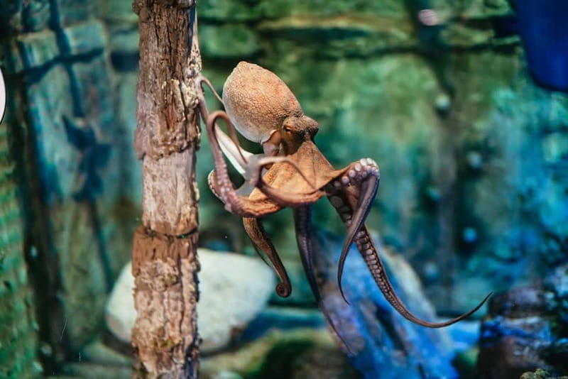 Barcelona Aquarium: Entry Ticket - Key Things I’d Plan Around