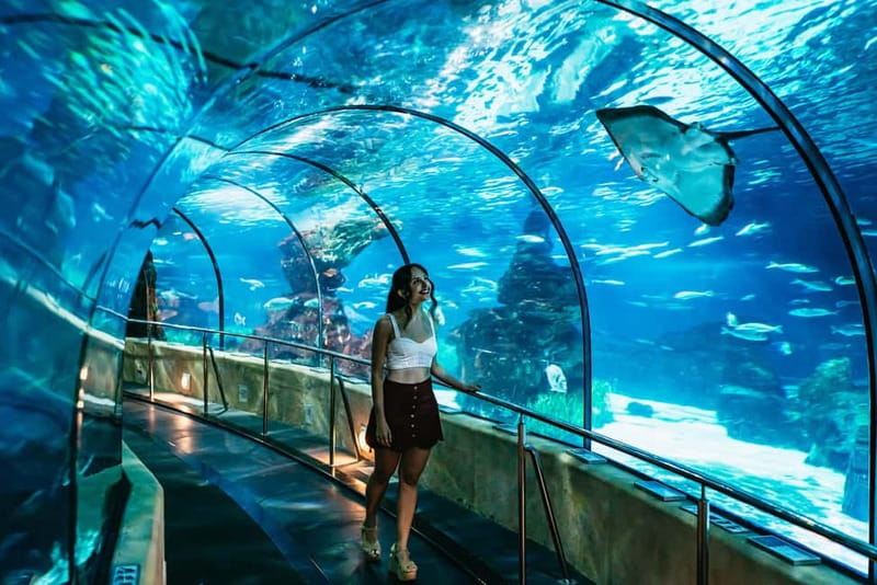 Barcelona Aquarium: Entry Ticket - Where You Go First: Port Vell and the Aquarium’s Layout