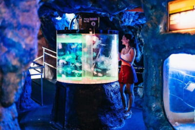 Barcelona Aquarium: Entry Ticket - Oceanarium Tunnel Walk: 5 Meters Deep and 80 Meters Long
