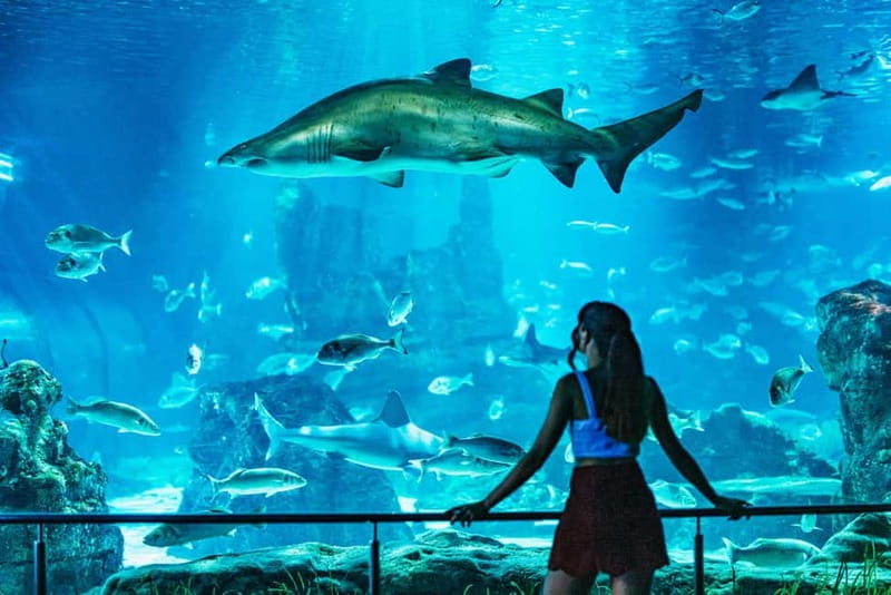 Barcelona Aquarium: Entry Ticket - Planeta Aqua: The Hands-On Part That Actually Teaches