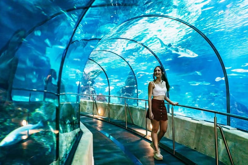 Barcelona Aquarium: Entry Ticket - Timing Your Visit: Opening Hours and the Last Slot Rule