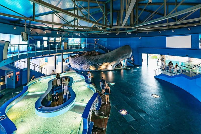 Barcelona Aquarium: Entry Ticket - Facilities, Food, and the Shop: What You’ll Feel After the Wow