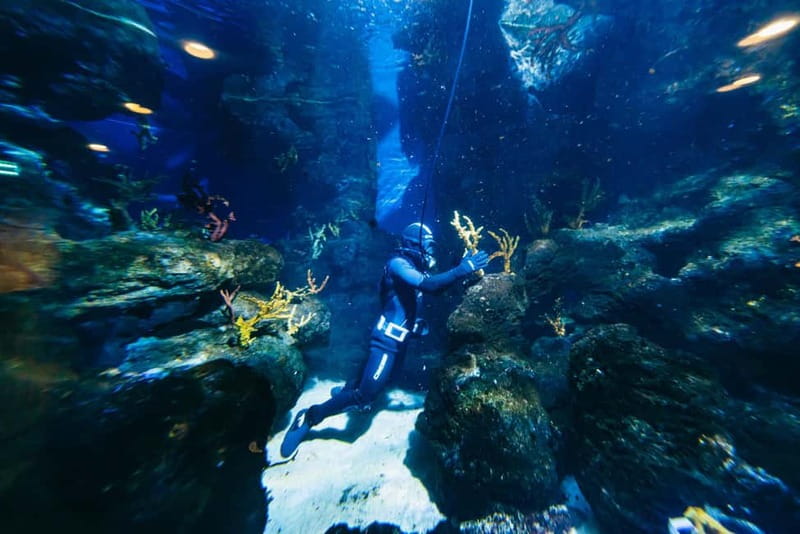 Barcelona Aquarium: Entry Ticket - Value for the Price: Is $31 Worth It?