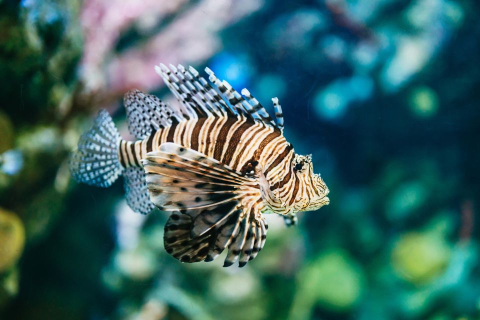 Barcelona Aquarium: Entry Ticket - Best Fit: Who Should Book This Ticket