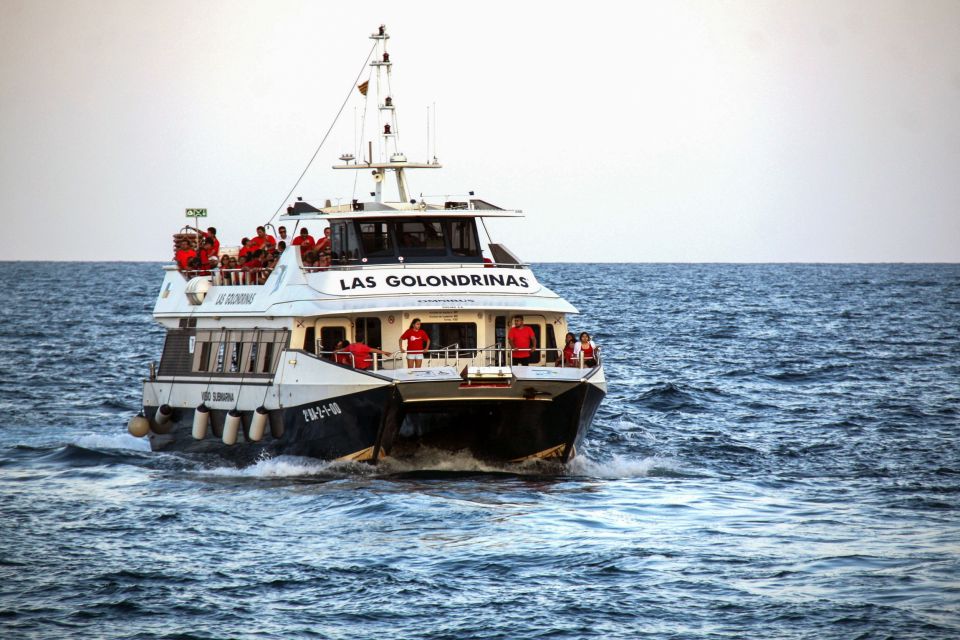 Barcelona: Boat Tour in Las Golondrinas - Accessibility reality check: wheelchair access with some deck limits