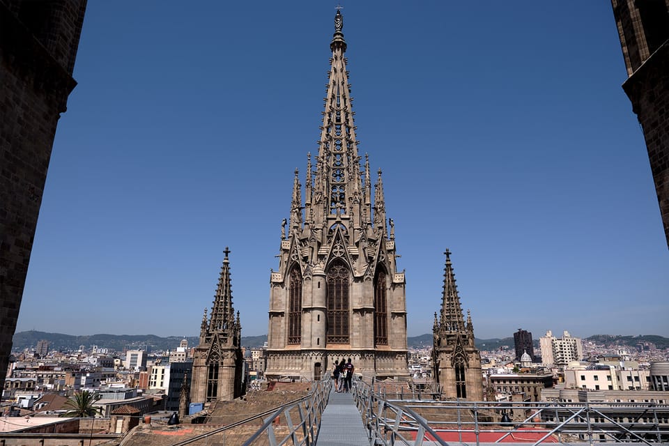 Barcelona: Cathedral of Barcelona Entry Ticket - Well of Geese: A Quirky Stop That Makes the Place Feel Alive
