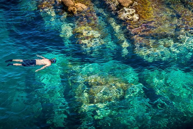 Barcelona Costa Brava Kayak, Snorkel & Cliff Jump Day Tour - Leaving Barcelona for Costa Brava, Not “Just Another Day Trip”