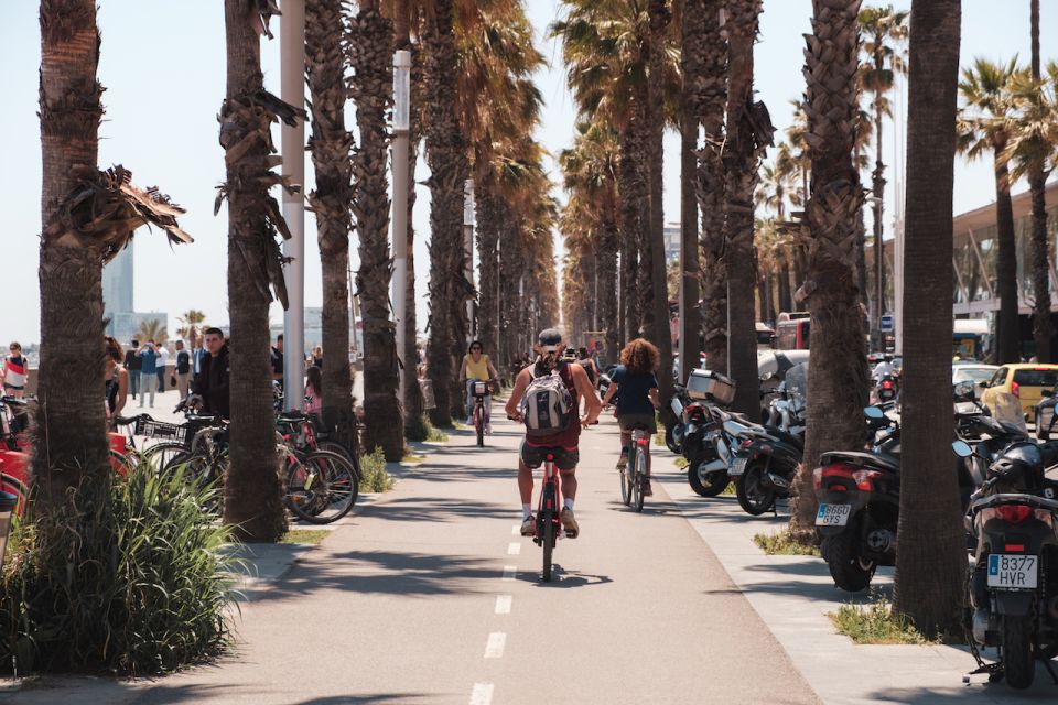 Barcelona: Guided Bike or E-Bike City Tour - El Born and Santa Maria del Mar: Catalan Gothic With a Maritime Sense