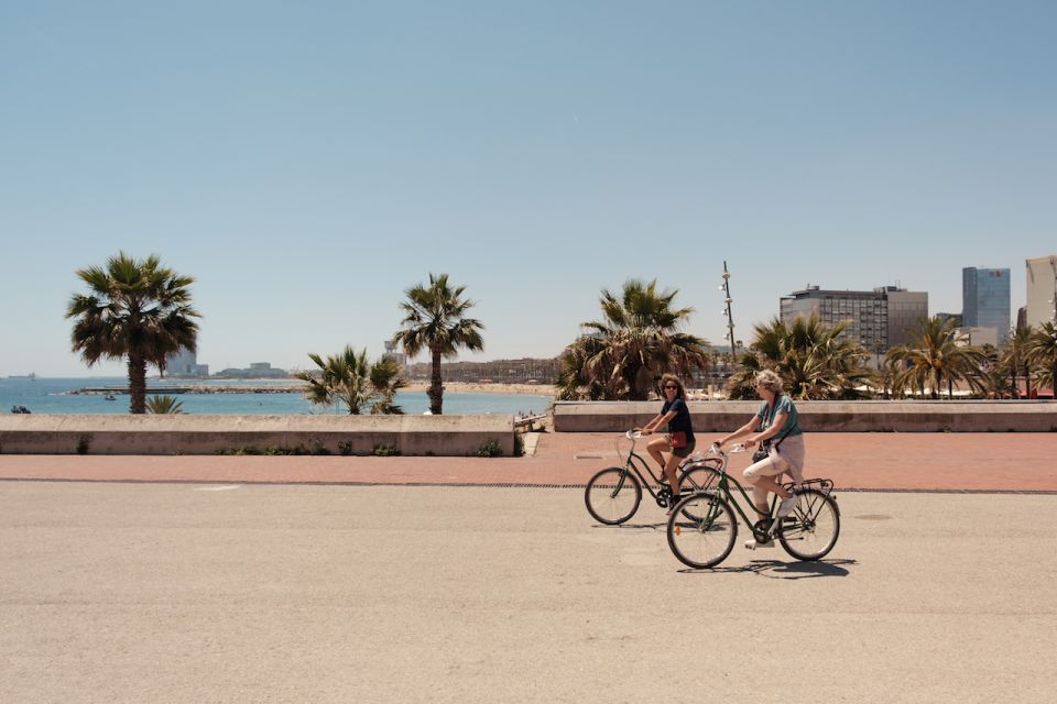 Barcelona: Guided Bike or E-Bike City Tour - Price and Logistics: Is This $34 Tour Good Value