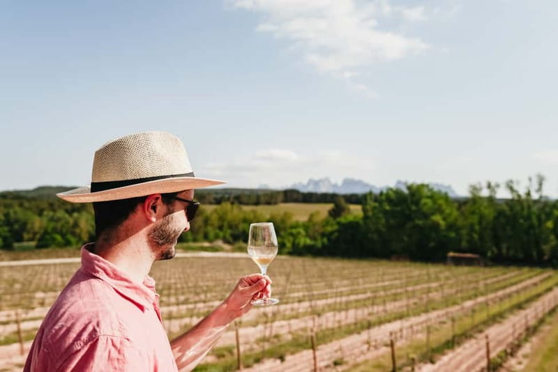 Barcelona: Montserrat and Winery Tour with Tapas or Lunch - Transportation and timing: why the day can feel long (but manageable)