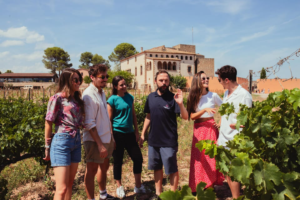Barcelona: Montserrat with Winery, Lunch, and Train Options - Oller del Mas winery: a castle stop that feels like more than a tourist add-on