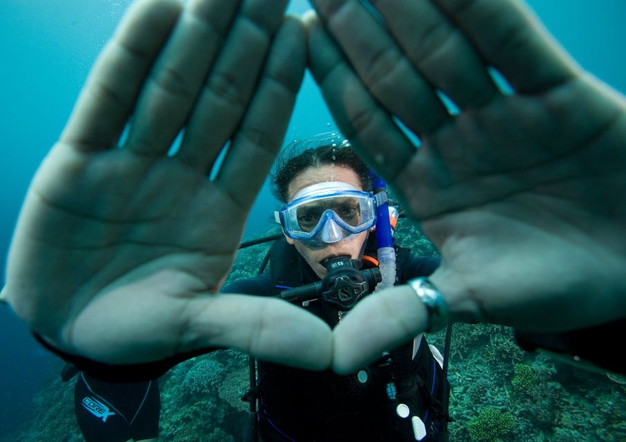 Barcelona: PADI Discover Scuba Diving - The Meeting Point: The Fence With the Logo