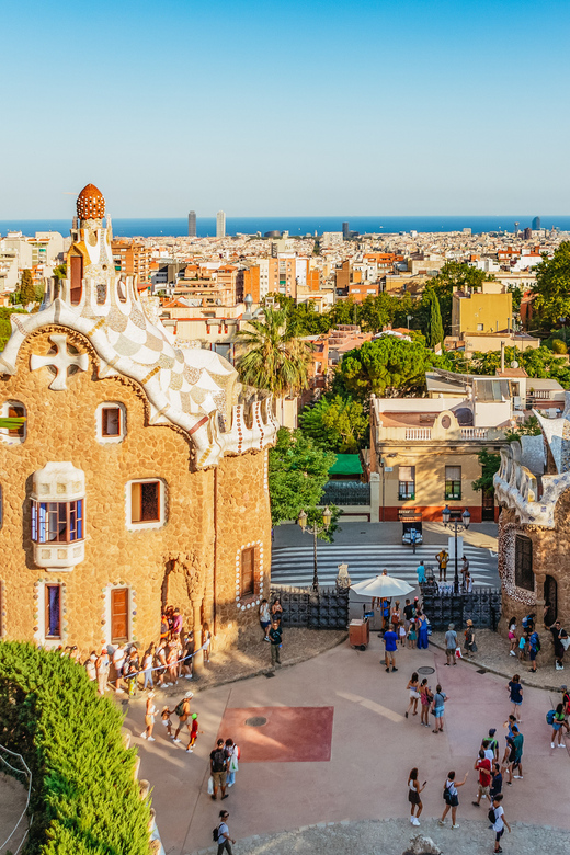 Barcelona: Park Güell Guided Tour & Priority Access - Price and value: what $32 buys you in real time