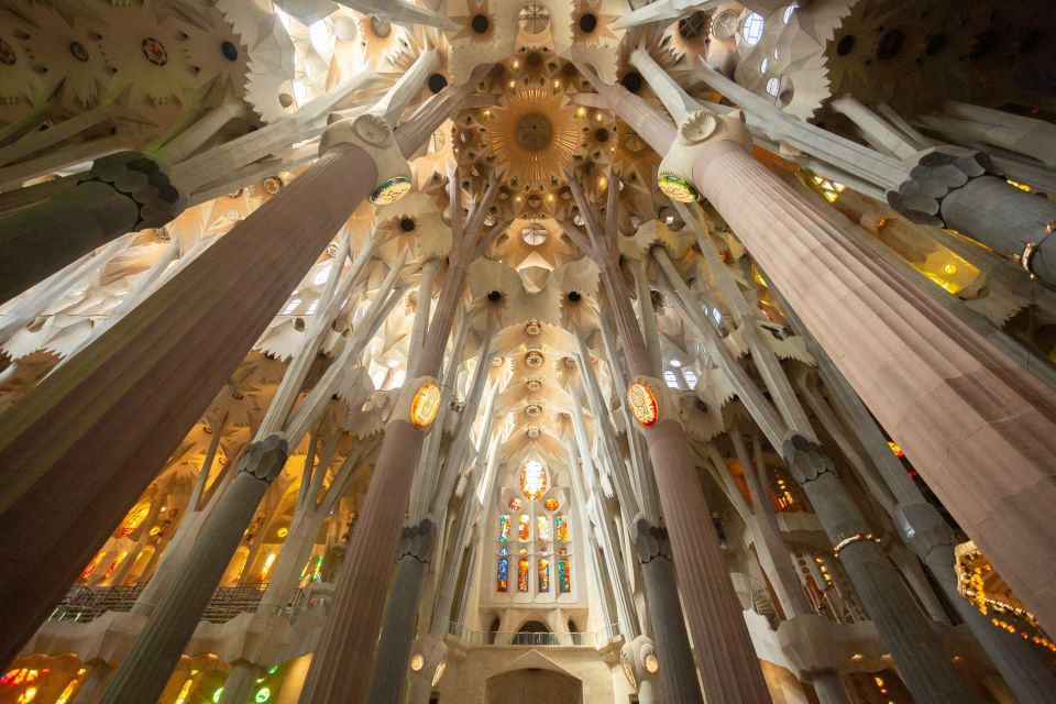 Barcelona: Sagrada Familia Fast-Track Guided Tour - Key things I’d bookmark before you go