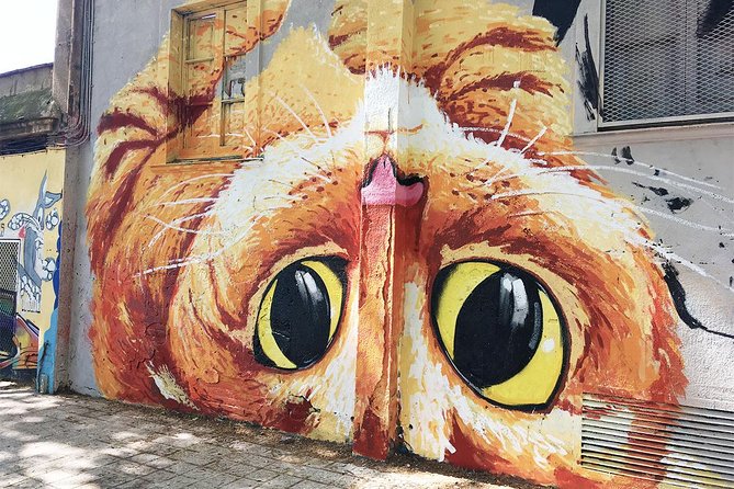 Barcelona Street Art and Graffitti Bicycle Tour - What you’ll learn about graffiti: terminology, craft, and politics