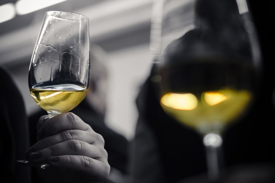 Barcelona Wine Tasting: Catalan and Spanish Wines - The Tasting Lesson: How the Sommelier Gets You to Taste on Purpose