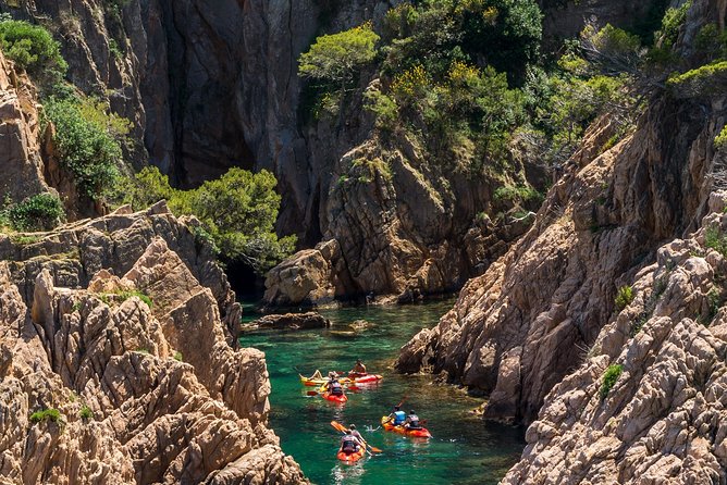 Costa Brava Kayaking and Snorkeling Small Group Tour with Lunch - The paddle phase: kayaking under the Camino de Ronda