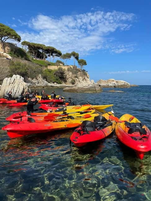 From Barcelona: Costa Brava Kayak & Snorkel Tour with Picnic - Should you book the Costa Brava Kayak & Snorkel With Picnic?