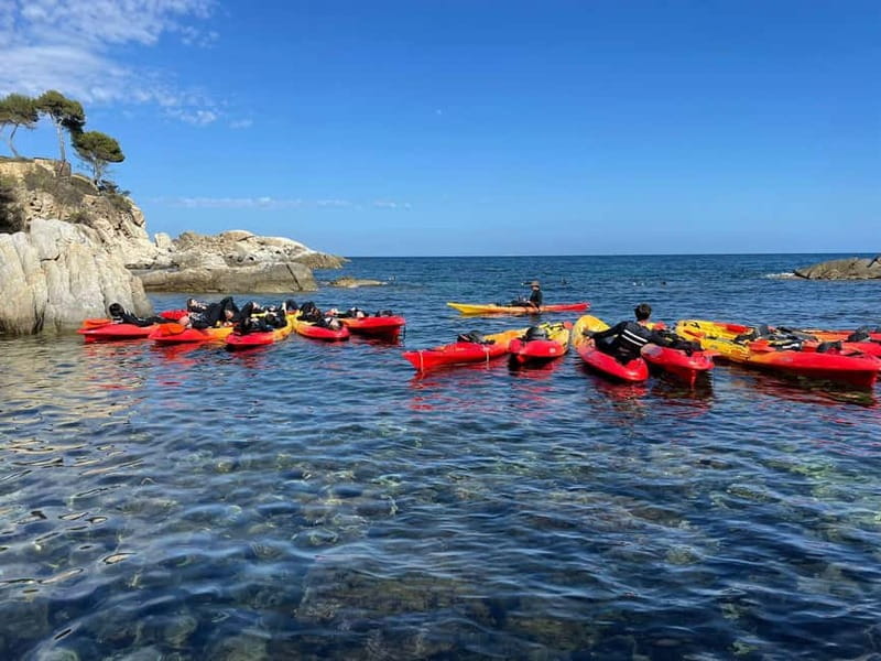 From Barcelona: Costa Brava Kayak & Snorkel Tour with Picnic - What the day feels like, hour by hour (with a realistic pacing view)