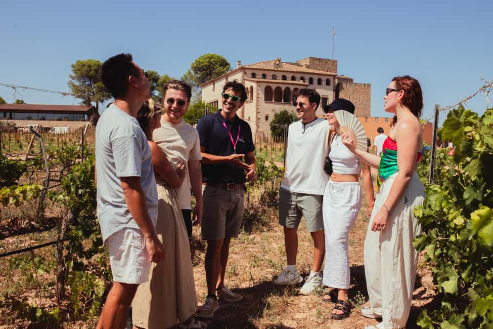 From Barcelona: Full-Day Montserrat & Wine Small Group Tour - Multi-course lunch at the winery: Catalan comfort with wine