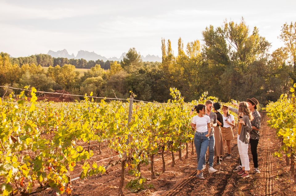 From Barcelona: Full-Day Montserrat & Wine Small Group Tour - Who should book this Montserrat and wine day