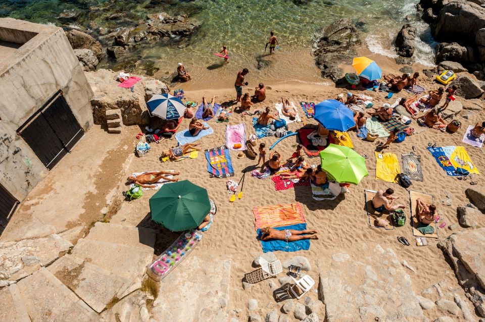 From Barcelona: Girona and Costa Brava Day Tour - Group Size, Guide Energy, and How the Day Feels