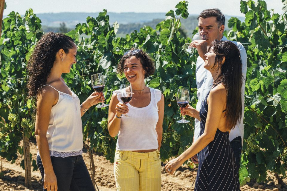 From Barcelona: Penedés Vineyards Tour by 4WD w/Wine & Cava - Why Penedès is a better wine day than staying in Barcelona
