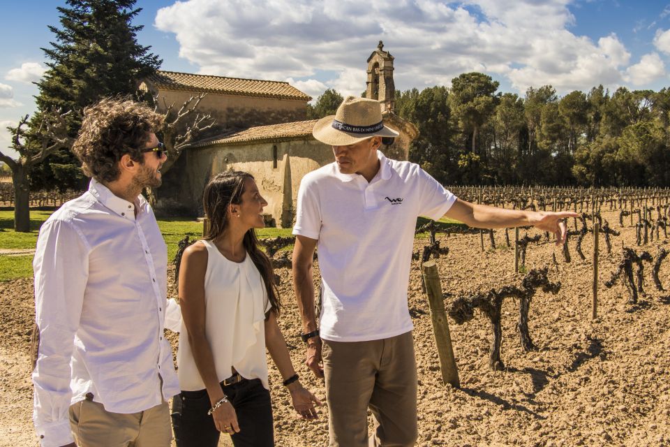From Barcelona: Penedés Vineyards Tour by 4WD w/Wine & Cava - The food pairings: why cheese and charcuterie aren’t filler