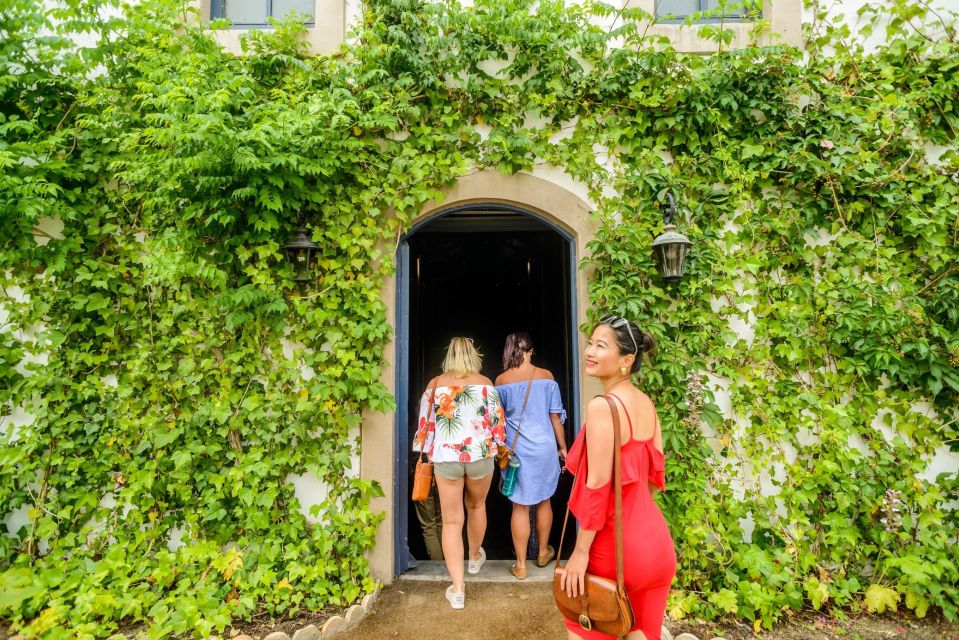 From Barcelona: Penedés Vineyards Tour by 4WD w/Wine & Cava - How much wine are you really tasting?