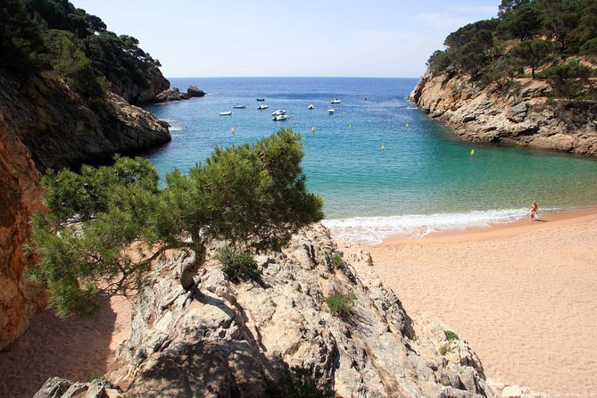 Girona & Costa Brava Small-Group Tour with Pickup from Barcelona - How the Timing Works: Pickup, Guided Segments, and Your Breathing Room