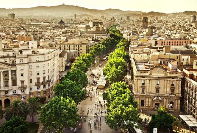 Interactive Paella & Market: Bottomless Wine & Rambla Views - Key points to know before you go