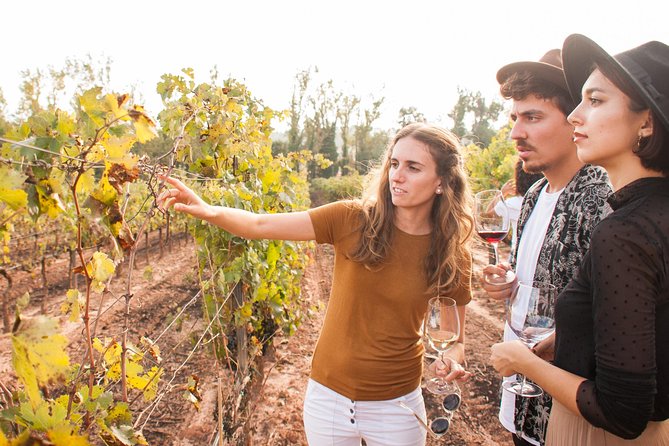 Montserrat & Cogwheel Train, Gourmet Wine Tasting & Tapas/Lunch - Your time on the mountain: plan for weather and walking