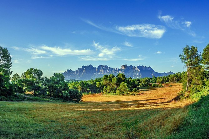 Montserrat Monastery Small Group or Private Tour Hotel pick-up - Abadia de Montserrat and the Black Madonna basilica