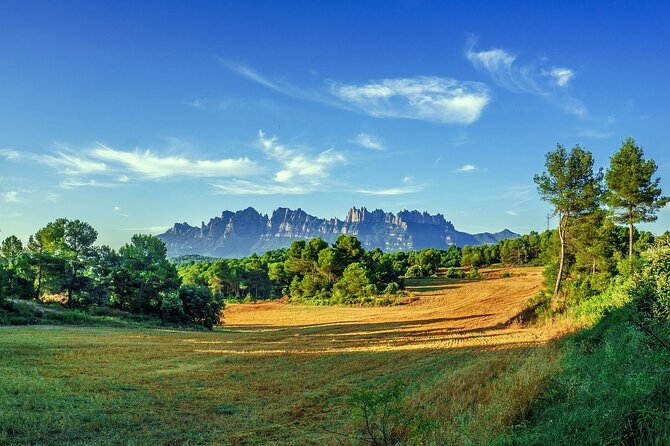 Montserrat Private Tour with Hotel pick-up from Barcelona - Abadia de Montserrat: The Black Madonna and a 12th-Century Detail That Matters