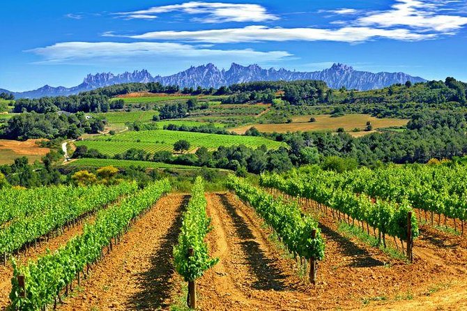 Montserrat,Vineyard, Wine Tasting Small Group Tour & Hotel Pickup - Price and logistics: what’s included vs. what costs extra