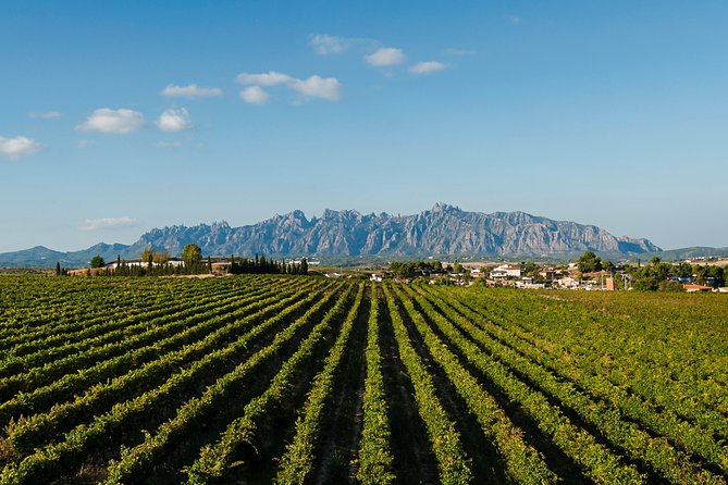 Montserrat,Vineyard, Wine Tasting Small Group Tour & Hotel Pickup - Who this Montserrat and cava day trip suits best