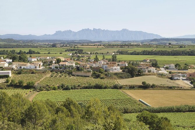 Penedes Wine & Cava Tasting & 4WD Vineyards Tour from Barcelona - Key takeaways before you go