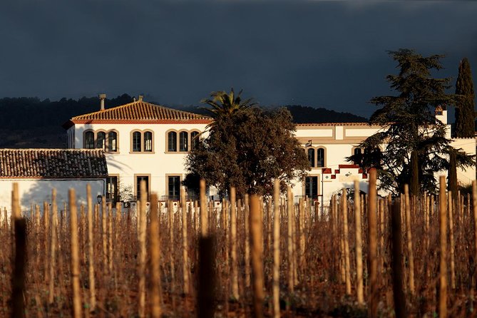 Penedes Wine & Cava Tasting & 4WD Vineyards Tour from Barcelona - The vineyard Jeep ride: what you learn from the viticulturist