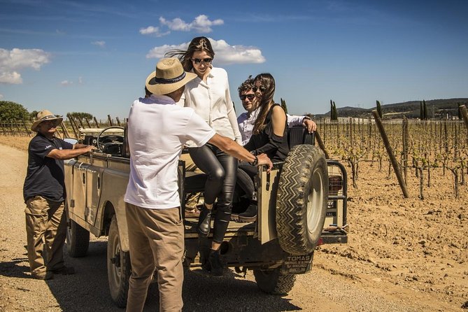 Penedes Wine & Cava Tasting & 4WD Vineyards Tour from Barcelona - Second winery: small-batch still wine, cellar time, and three pours