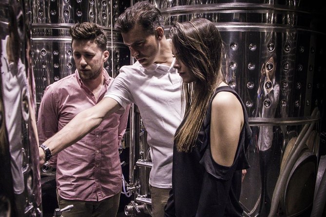Penedes Wine & Cava Tasting & 4WD Vineyards Tour from Barcelona - What’s included in your tasting day (and what it means for value)