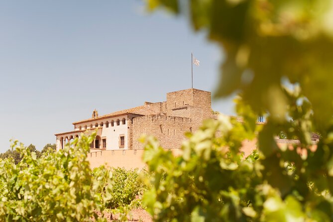 Premium Montserrat & Wine Full Day Tour from Barcelona - Starting from Barcelona North Station and getting your day’s rhythm right