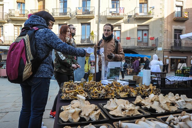 Pyrenees & Medieval Towns Small Group Tour from Barcelona - Vic: medieval architecture, a hidden Roman temple, and real free time