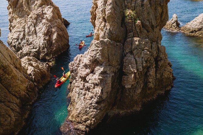 Tossa de Mar: Kayak & Snorkel Tour with Paella from Barcelona - Price and value: what $156 really buys you for this day trip